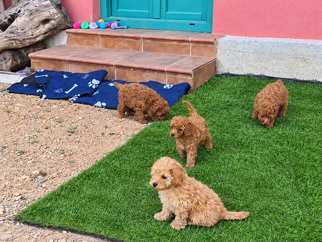 Zona exterior de juegos